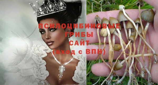 ешки Арсеньев
