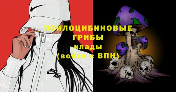 ешки Арсеньев